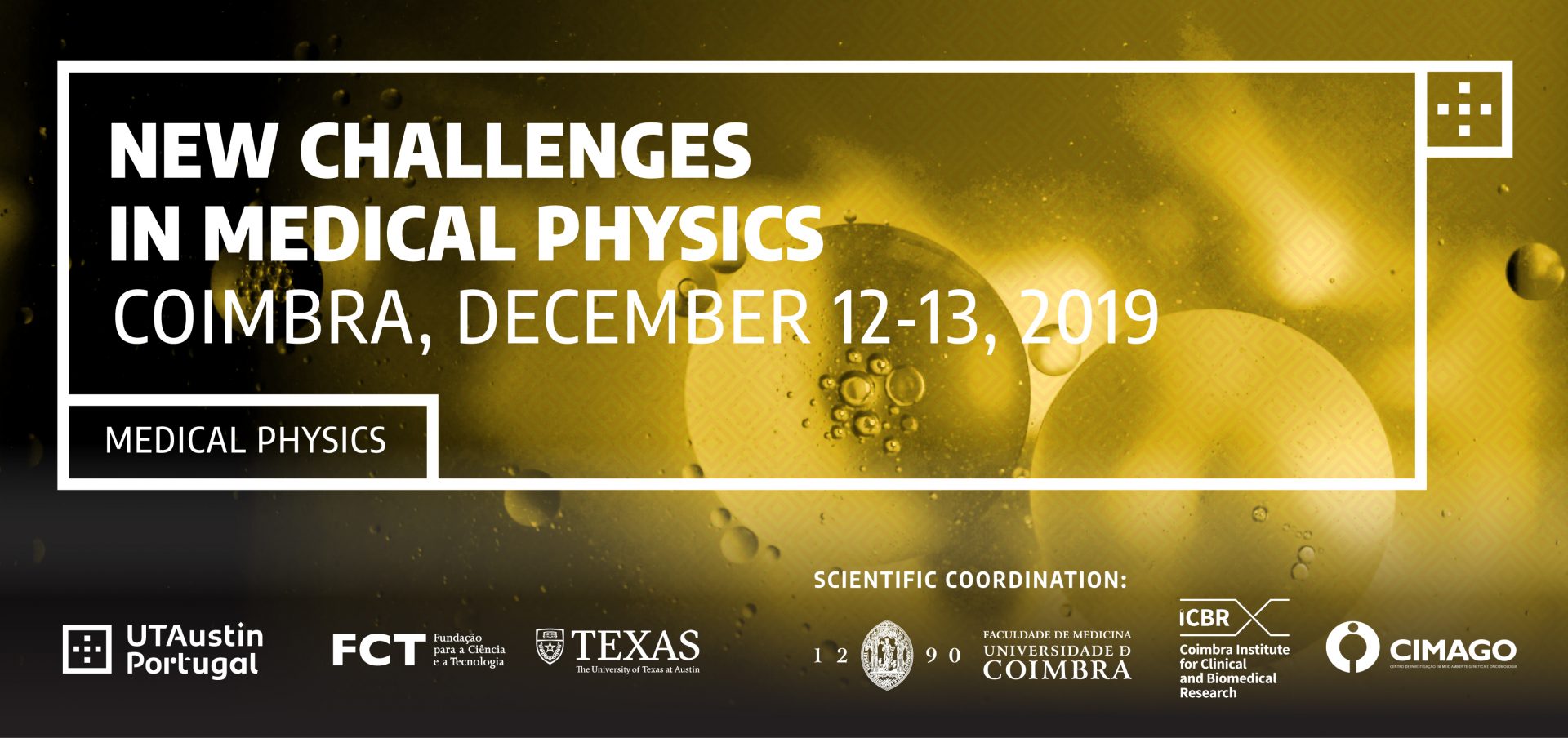 New Challenges in Medical Physics UT Austin Portugal