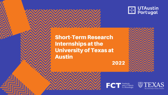 undergraduate research fellowship ut austin