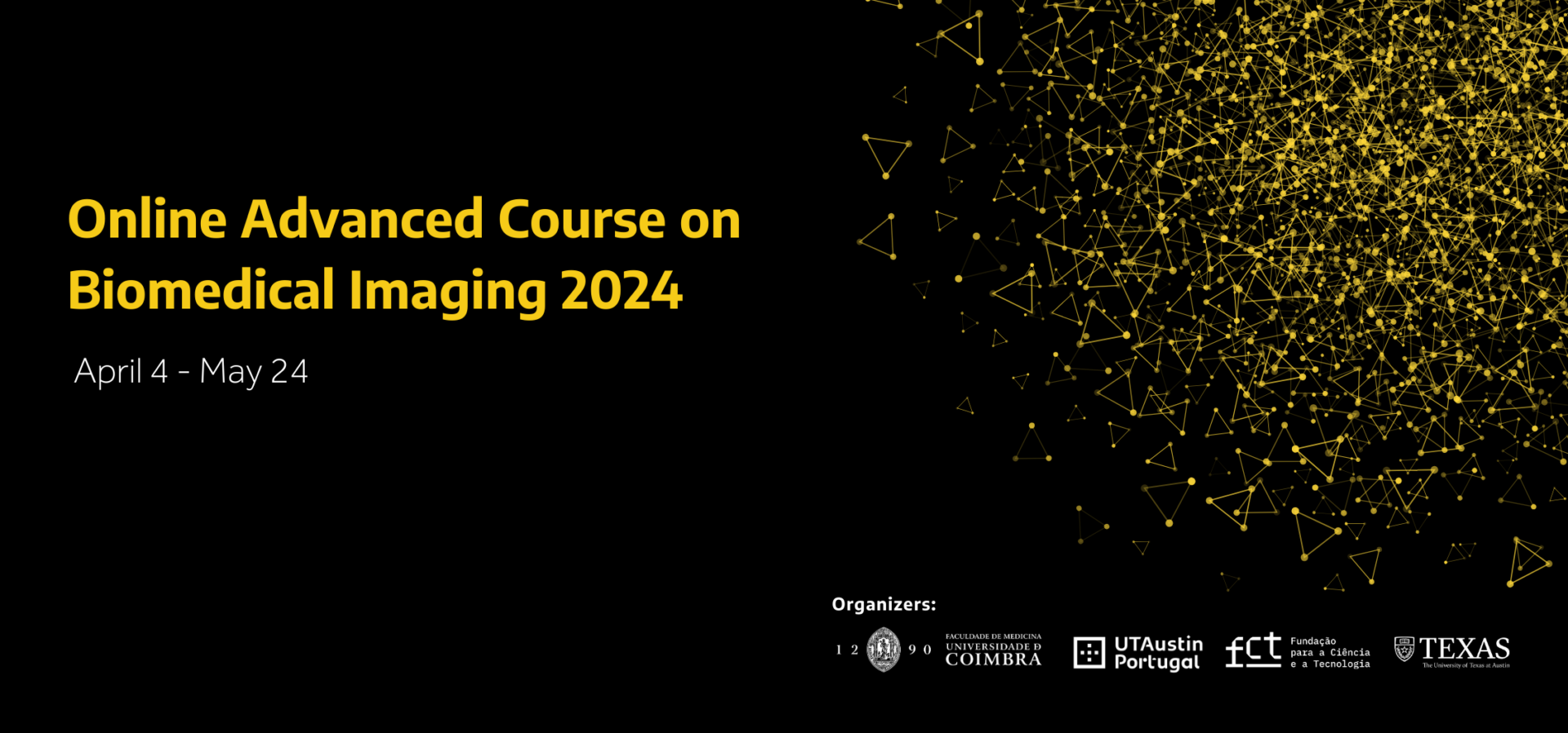 Online Advanced Course on Biomedical Imaging 2024