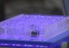 LED therapy promises to destroy cancer cells without affecting healthy ones.