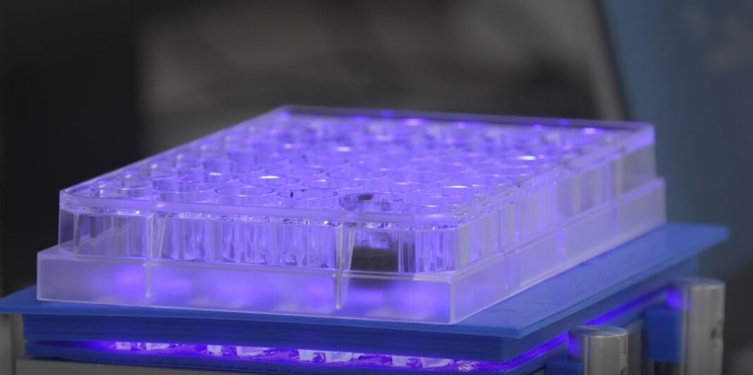 b4adbafd-e12f-4b9d-9e1b-861331843338